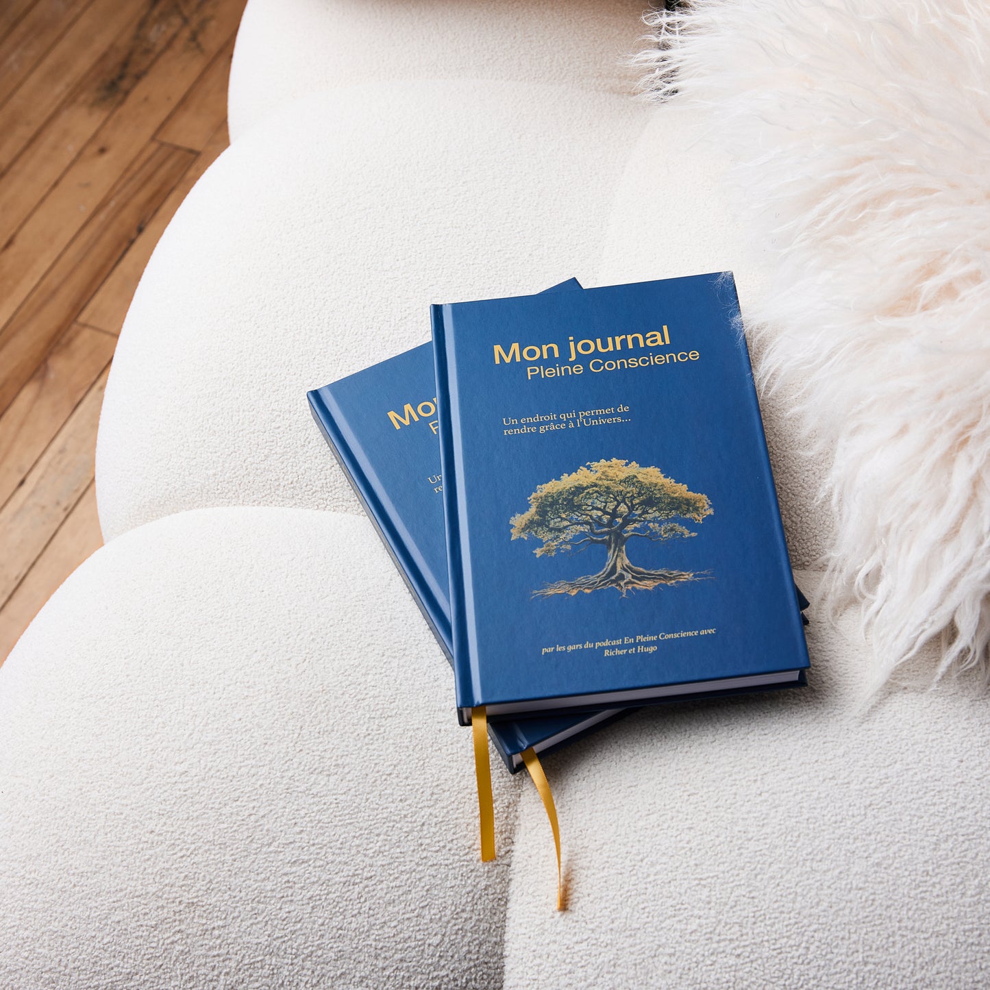 Mon Journal Pleine Conscience