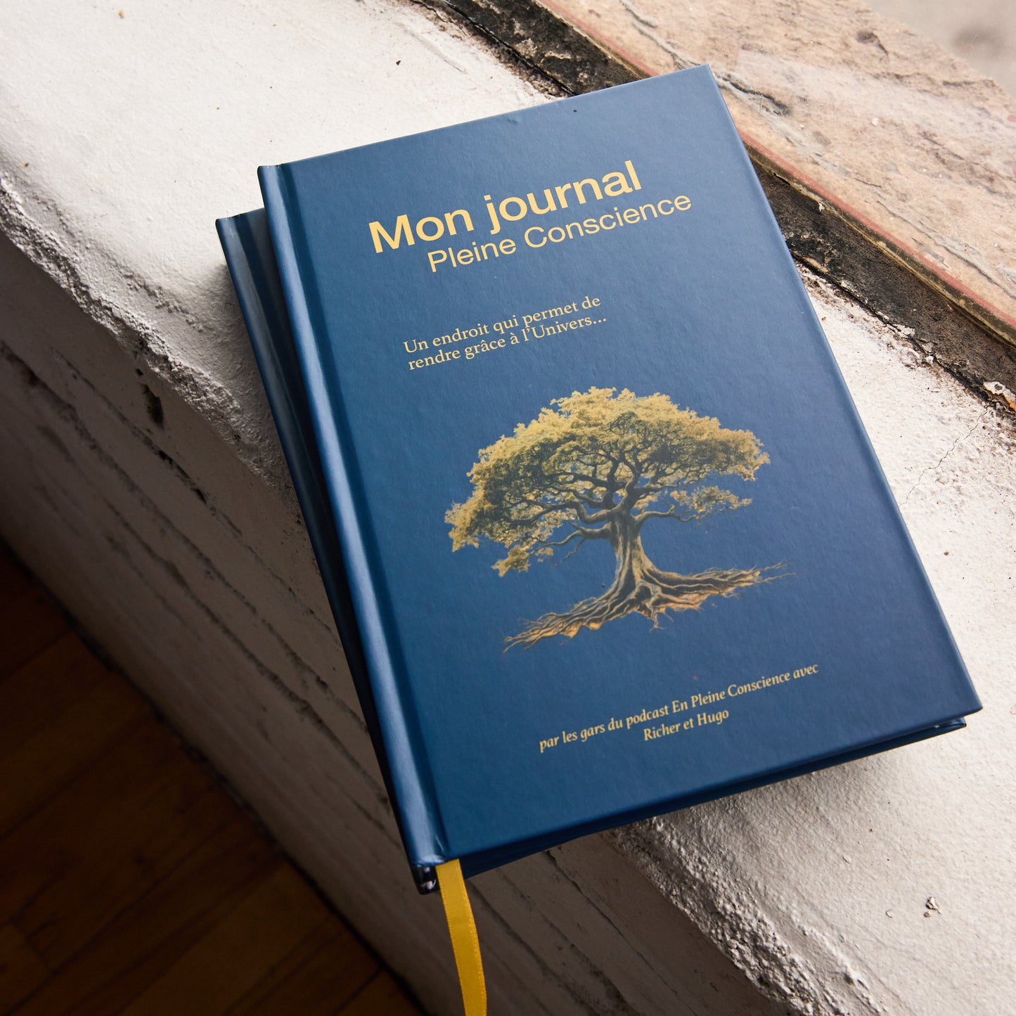 Mon Journal Pleine Conscience