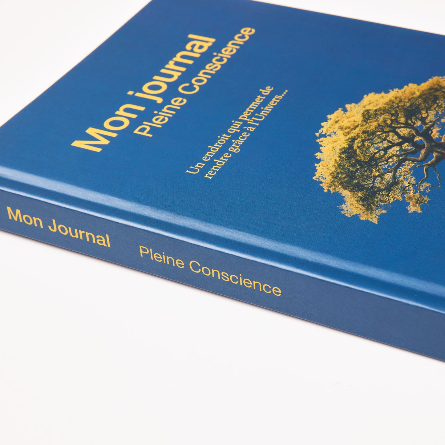 Mon Journal Pleine Conscience